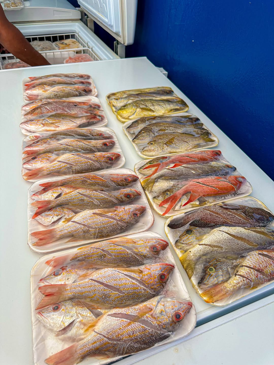 Pescados