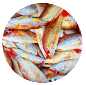 Colorao