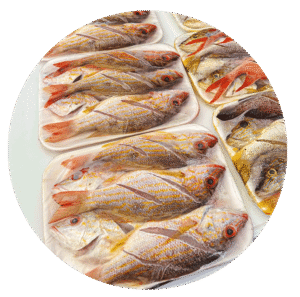 Emplatados
